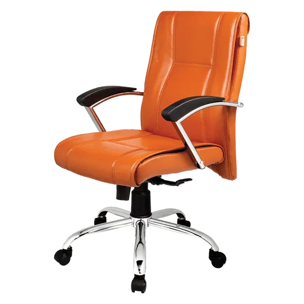 کارشناسی S3100 راحتیان