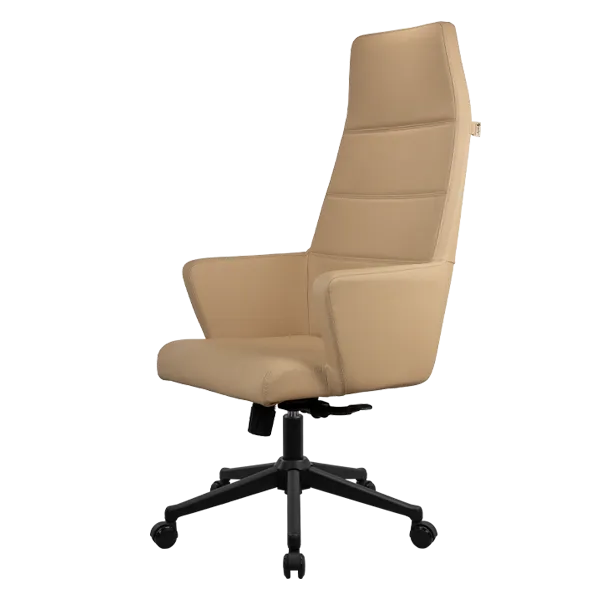 مدیریتی T5110 راحتیران 
